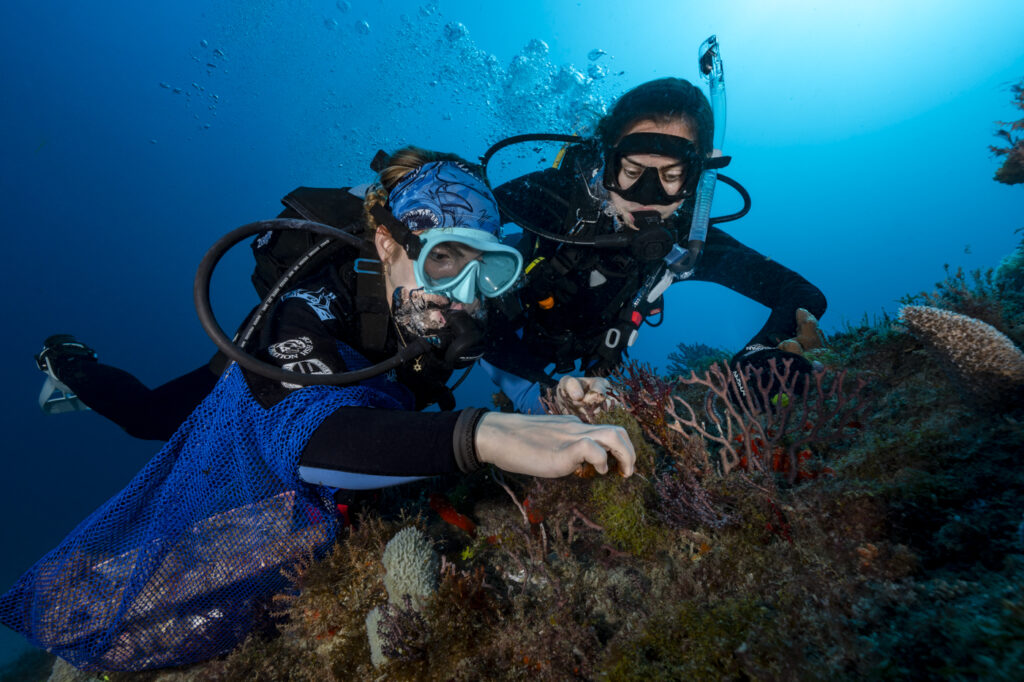 Sydney Ferris diving underwater