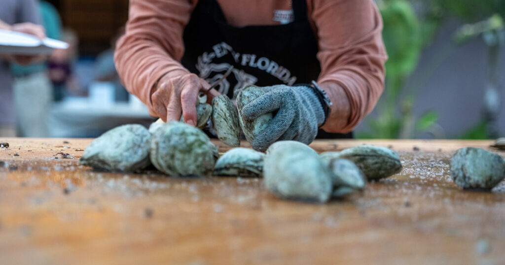 a table covered with oysters and gloved hands holding oysters