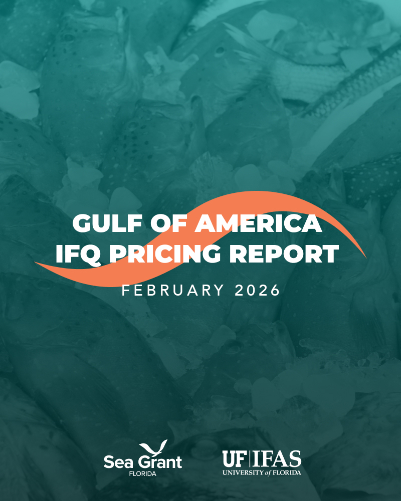 Gulf of America IFQ Pricing Report February 2026