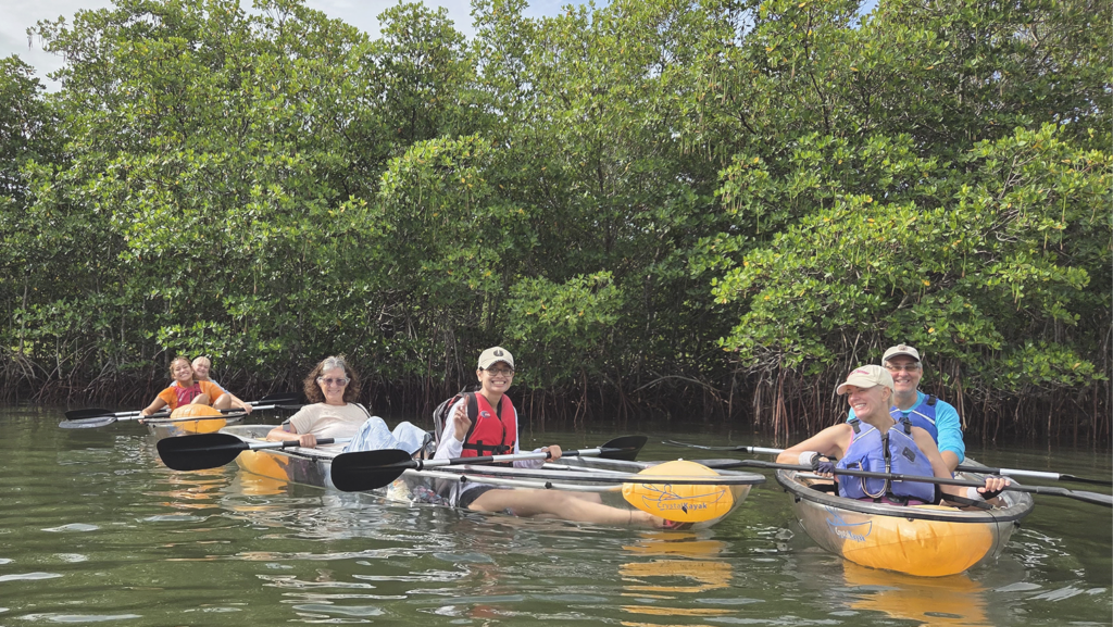 Group of people on kayaks near mangroves.