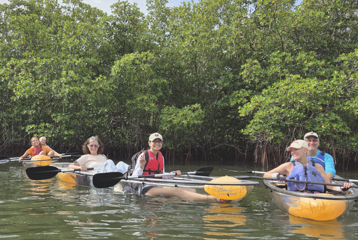 Group of people on kayaks near mangroves.