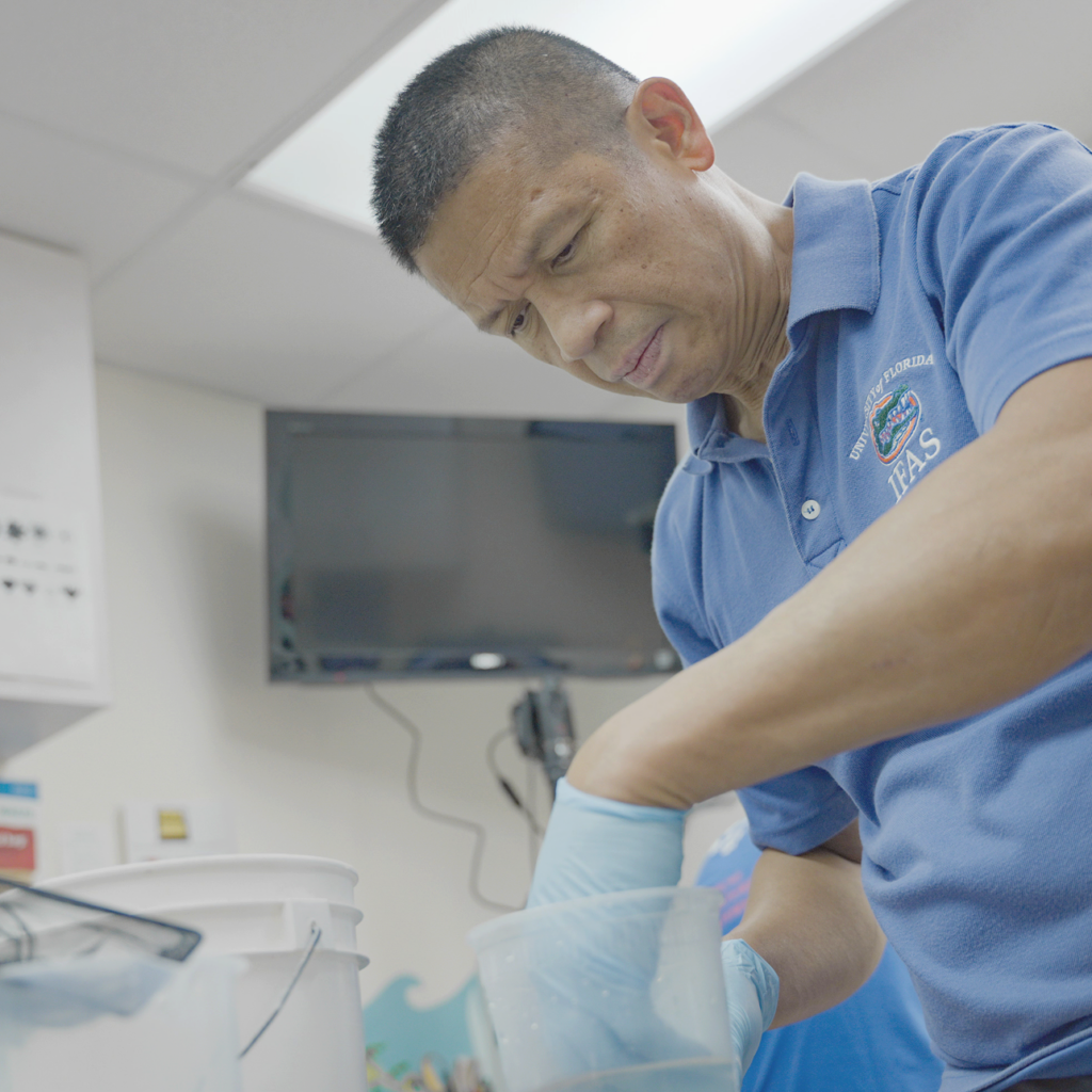 Dr. Roy Yanong inside labs at Tropical Aquaculture Lab , wokring on fish health management and aquatic animal health.