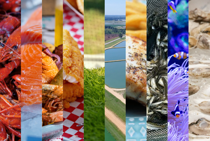 A collage of ten vertical strips showing various seafood dishes, aquaculture environments, and marine life