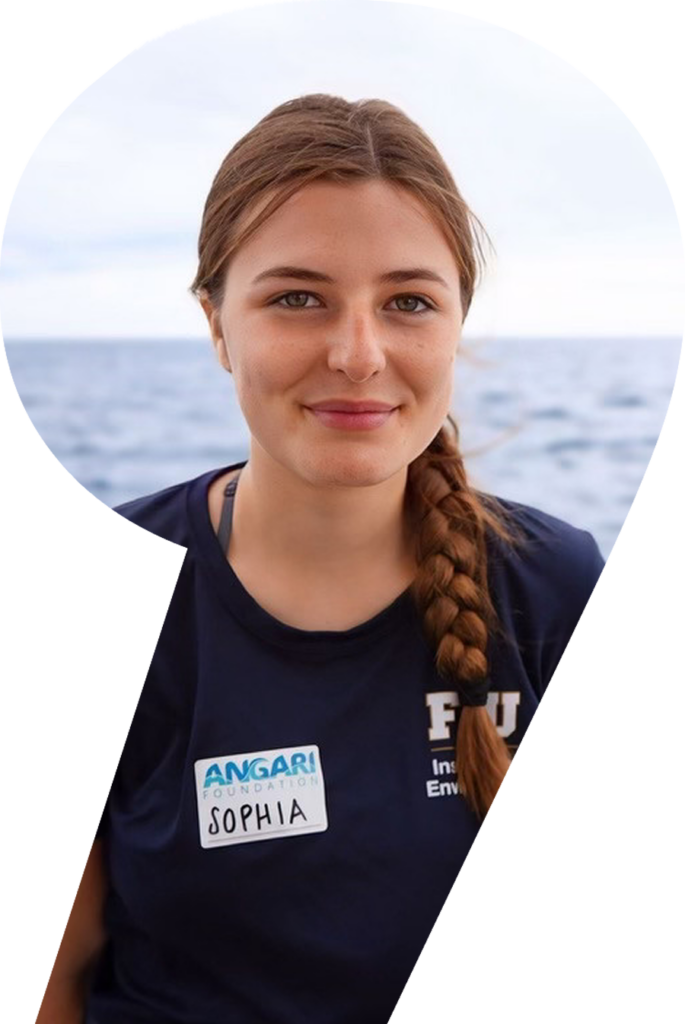 Sophia Hemsi