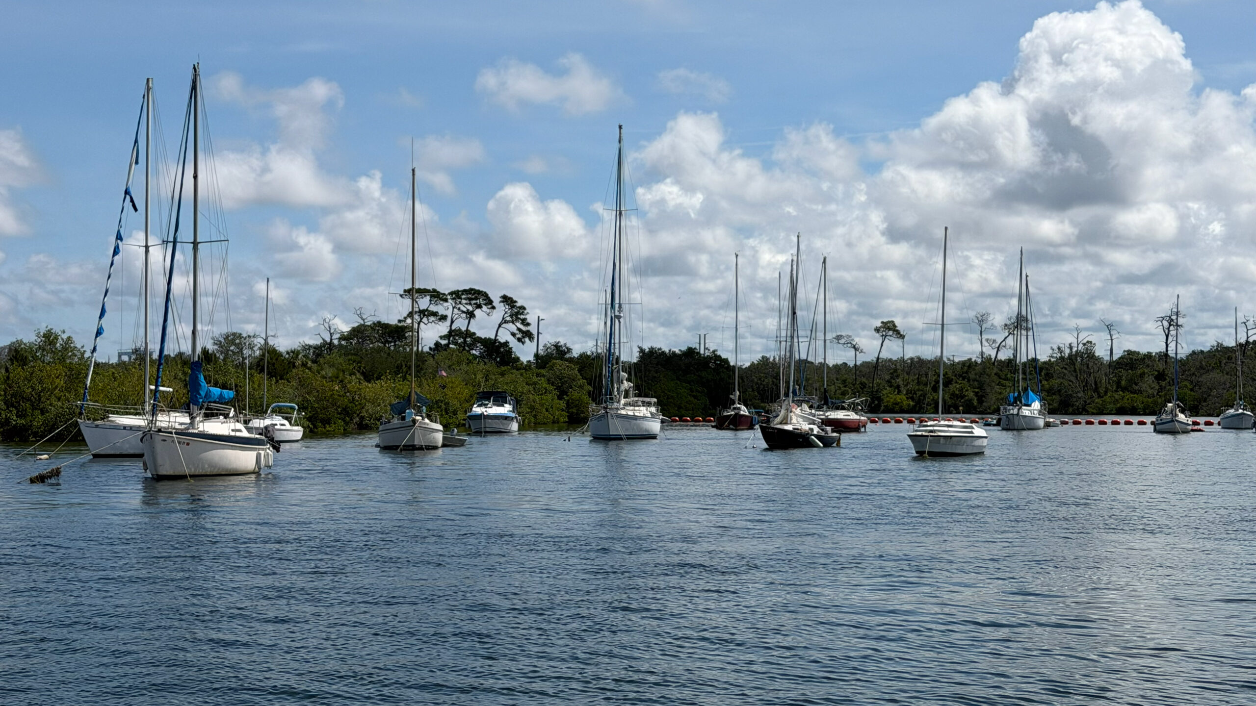 Several sailboats anchored in a calm bay on a bright day. Green trees and mangroves line the distant shoreline under a blue sky filled with fluffy white clouds