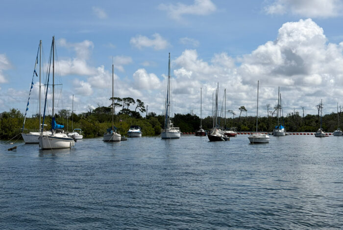 Several sailboats anchored in a calm bay on a bright day. Green trees and mangroves line the distant shoreline under a blue sky filled with fluffy white clouds