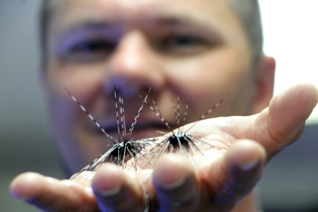 Man holding sea urchins.