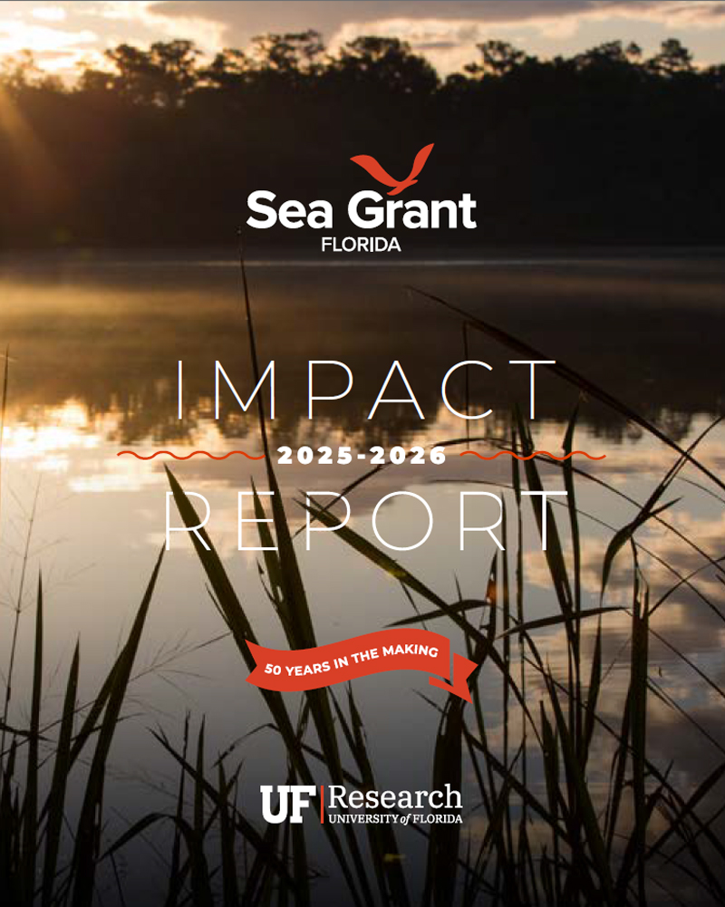 Florida Sea Grant Impact Report cover for 2025-2026. The background is a scenic sunrise over a misty lake framed by tall marsh grass. The Florida Sea Grant logo sits at the top, the title "IMPACT REPORT 2025-2026" is centered in large white text, a red ribbon reads "50 Years in the Making," and the UF Research University of Florida logo is at the bottom