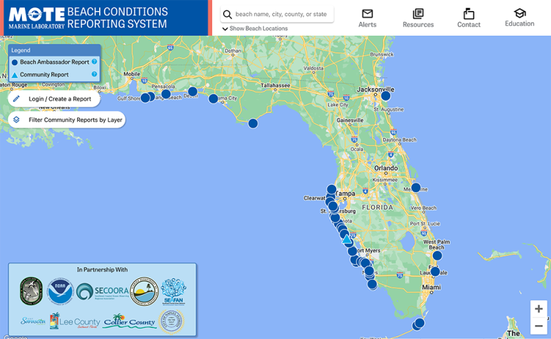 The Beach Conditions Reporting System (BCRS) reports observations of respiratory irritation and dead fish related to Florida red tide at beaches around Florida. Source: Mote Marine Lab & Aquarium