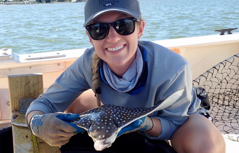 As a Guy Harvey Scholar, Brianna Cahill received $5,000 to support her graduate research investigating the diet of whitespotted eagle rays using DNA barcoding and stable isotope techniques.